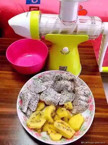 果語榨汁機廠家直銷 享受正品批發價格，輕松制作健康蔬菜汁